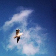 Ich bin dann mal weg…