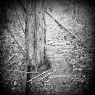 Viel Zeit ist vergangen…