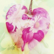 Die Leichtigkeit suchen