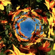 Aufgeben, um zu gewinnen?!