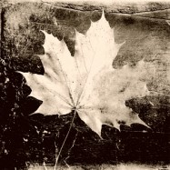 Was macht es mit mir?