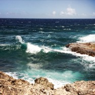 Das Leben – mein Coach