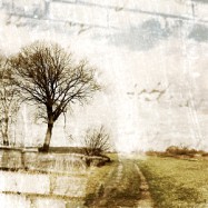 Lernen, lernen, lernen