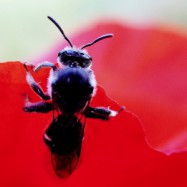 Über den Tellerrand schauen…