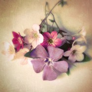 Wie Gespräche Nähe verhindern können