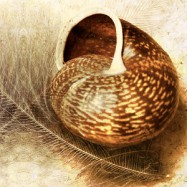 Einfach mal die Klappe halten…