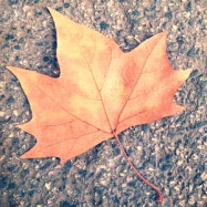 Was hinter uns liegt