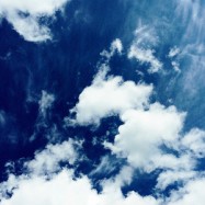 Fallen oder Fliegen?