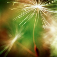 Mit Helm und Fliegerbrille