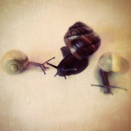 Was Mitgefühl verhindert