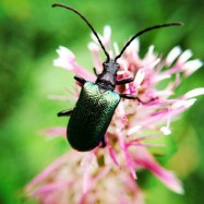 Eine Geschichte über Wertschätzung