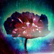 Hoffnung ist (m)eine starke Macht