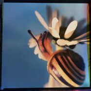 Oft ist mir die Welt zu schnell