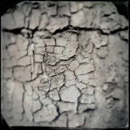 Ängste und Sorgen füttern verboten!