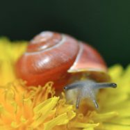 Empfindsamkeit ist keine Schwäche