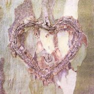 Das Leben sorgt für mich