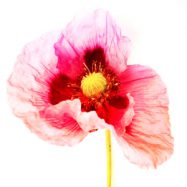 Einfach mal loslassen…