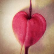 Kämpfen ist nicht der richtige Weg