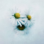 Die richtigen Worte zu finden… – klappt nicht immer