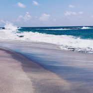 Die Wurzel unserer Entscheidungen