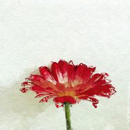 Mein Ja führt mich in die Tiefe