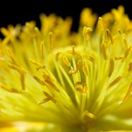 Die Unterschiedlichkeit der Tage