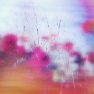 Dankbarkeit als Kraftquelle