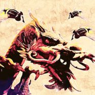 Woche 3: Mit Insekten leben und Drachen bändigen