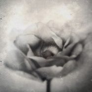 Trauer und Schmerz brauchen Raum